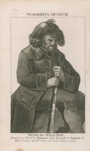Portret van Peter de Wilde Jongen door English School