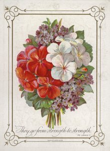 Boeket bloemen