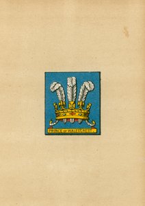 Wapenschild van de Prins van Wales door English School