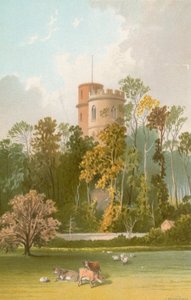Prinsentoren--Jersey