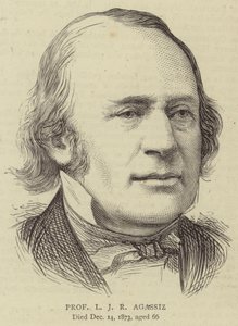 Professor L J R Agassiz door English School