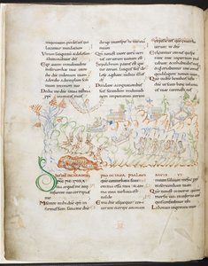 Psalm 6 uit de Harley Psalter, Harley MS 603 f.3v door English School