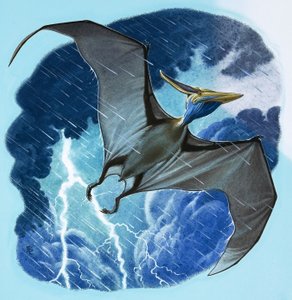 Pterodactylus