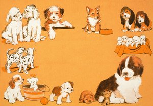 Puppyhonden door English School
