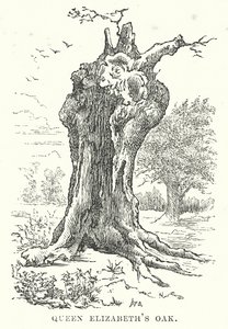Eik van koningin Elizabeth (gravure) door English School