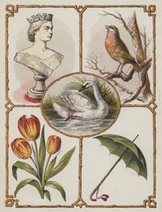 Koningin, Robin, Zwaan, Tulp, Paraplu