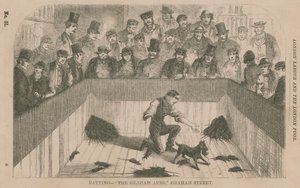 Ratten bij de Graham Arms, Graham Street, Londen door English School