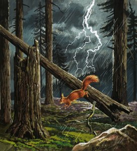 Rode eekhoorn in een storm door English School