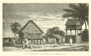 Rijstschuren en duiventillen in Madagaskar door English School