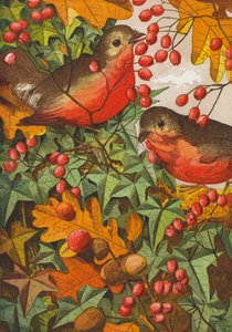 Roodborstjes (kleurenlitho)