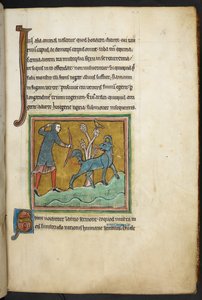 Royal 12 F.XIII, f.16 Een jager die een pijl op een dier schiet, Bestiarium (ff. 3-141), Lapidarium (ff. 141v-149), 2e kwart van de 13e eeuw door English School