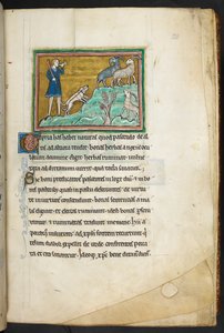Royal 12 F.XIII, f.20 Een jager of boer met honden, achtervolgt geiten, Bestiarium (ff. 3-141), Lapidarium (ff. 141v-149), 2e kwart van de 13e eeuw door English School
