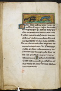 Royal 12 F.XIII, f.43v Muizen die een kat achtervolgen, uit Bestiarium (ff. 3-141), Lapidarium (ff. 141v-149), 2e kwart van de 13e eeuw (perkament) door English School