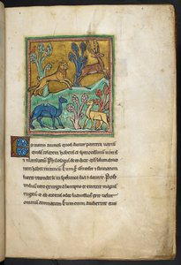 Royal 12 F.XIII, f.7 Een luipaard die een hert achtervolgt, met een kameel en een ander dier, uit Bestiarium (ff. 3-141), Lapidarium (ff. 141v-149), 2e kwart van de 13e eeuw