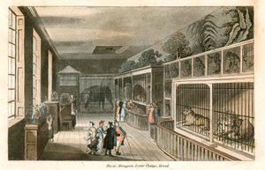 Royal Menagerie, Exeter Change, Strand (ingekleurde gravure) door English School