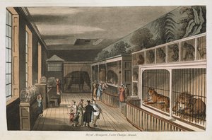 Koninklijke menagerie, Exeter (Change Exchange), Strand. Selecte uitzichten van Londen: met historische en beschrijvende schetsen van enkele van de meest interessante openbare gebouwen / samengesteld en gerangschikt door J.B. Papworth. John Buonarotti Papw door English School