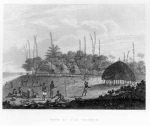 Zeelieden verzamelen proviand bij Car Nicobar, uit Reizen en Reizen naar India, Ceylon, De Rode Zee... door George, Burggraaf Valentia, gepubliceerd 1809