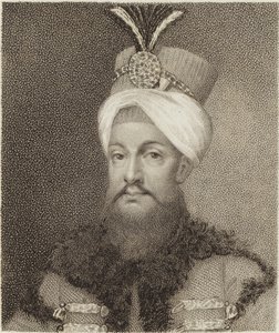 Selim II door English School