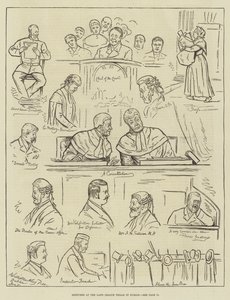 Schetsen bij de Land League-processen in Dublin (gravure)