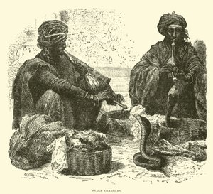 Slangenbezweerders