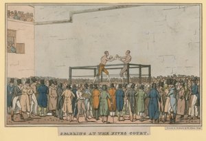 Sparren bij de Fives Court