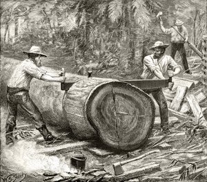 Houtsplijters in de Bush, ca. 1880, uit 