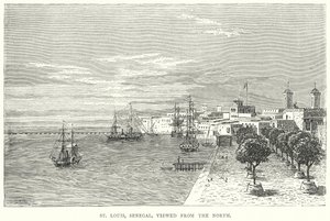 St Louis, Senegal, gezien vanuit het noorden (gravure) door English School