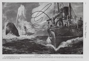 Stoomboot gebruikt als walvisjachtschip (gravure)