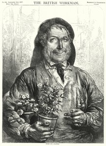 Verhaal van een bloem (gravure)
