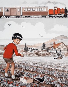 Aardbeien plukken