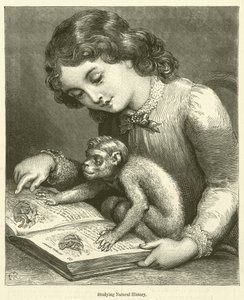Natuurlijke historie studeren (gravure)