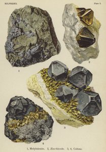 Sulfiden, molybdeniet, zinkblende, galena door English School