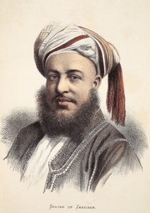 Sultan van Zanzibar, illustratie uit De Geïllustreerde Editie van het Leven en de Ontdekkingen van David Livingstone door J. Ewing Richie, uitgegeven door A. Fullarton & Co., 1876 door English School