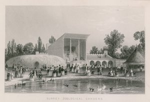 Surrey Zoologische Tuinen