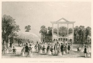 Surrey Zoological Gardens, Kennington, Londen: het nieuwe Orkest