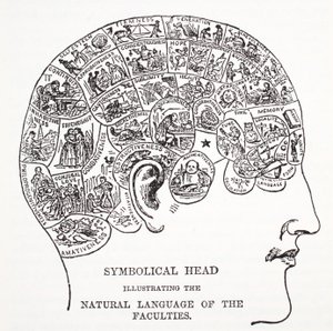 Symbolisch Hoofd dat de Natuurlijke Taal van de Vermogens Toont door English School