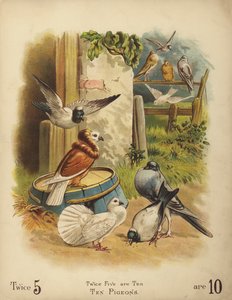 Tien duiven (chromolitho) door English School