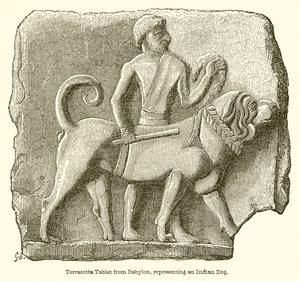 Terracotta tablet uit Babylon, voorstellende een Indiase hond door English School