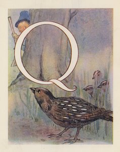 Het dieren ABC: Letter Q, kwartel door English School