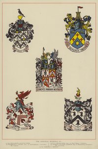 De wapenschilden (kleurenlitho) door English School