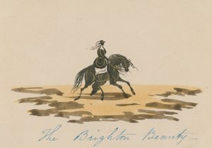 De Schoonheid van Brighton