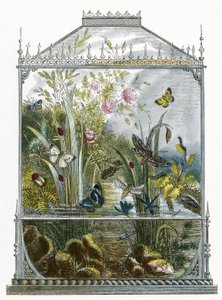 Het vlindervivarium