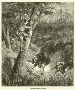 De charge van de buffels (gravure)