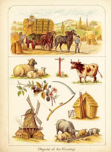 Het Platteland