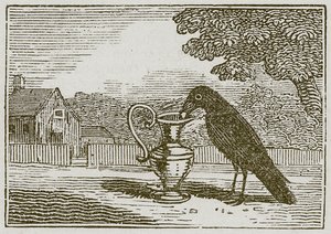 De kraai en de waterkruik (gravure) door English School