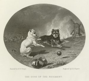 De honden van het regiment door English School