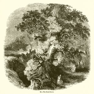 Het druïdenbos door English School