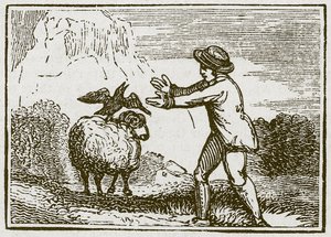 De adelaar en de kraai (gravure) door English School