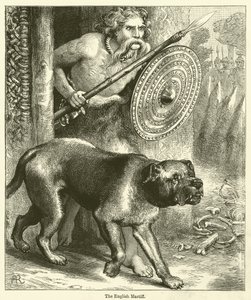 De Engelse Mastiff (gravure)