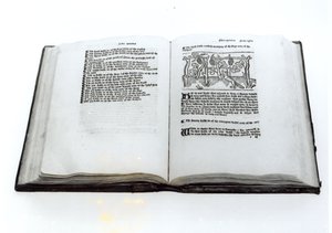 De Vos en de Druiven, uit een geïllustreerde vertaling van Aesopus